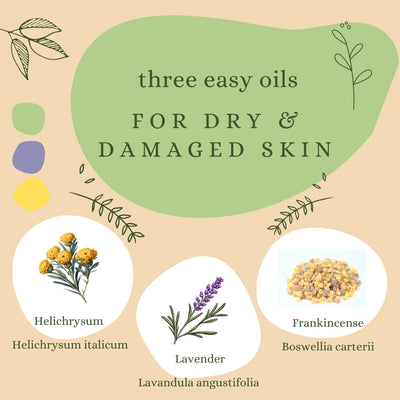 3 Easy oil for Dry or Damaged Skin
