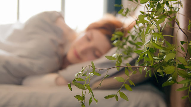 The Science-Backed Benefits of Essential Oils for Relaxation