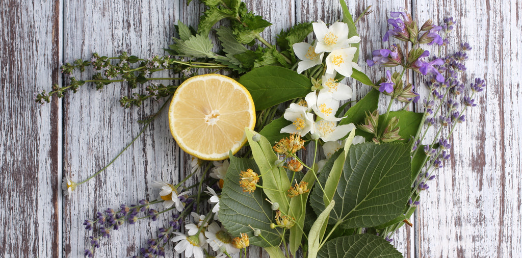 Lavender, Lemon, Thyme and Rosemary - cleansing antibacterial and antiviral oils that we love
