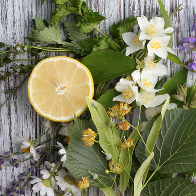 Lavender, Lemon, Thyme and Rosemary - cleansing antibacterial and antiviral oils that we love