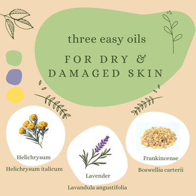 3 essential oils for dry and damaged skin