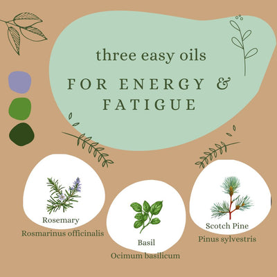 3 Easy Oils for Energy & Fatigue